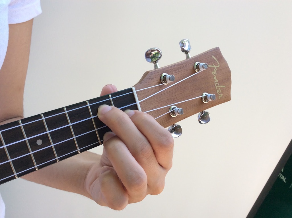 Ukulele Makeup Lessons