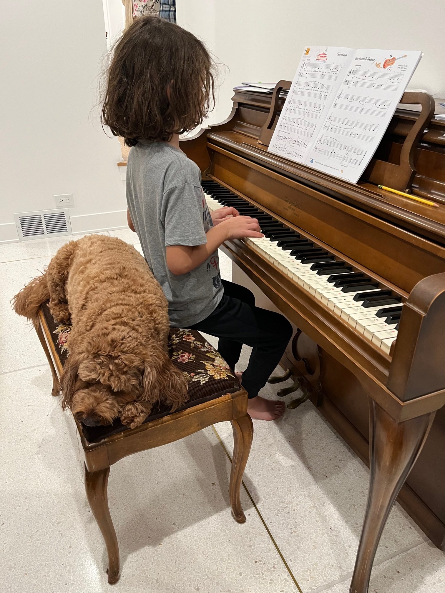 Boy and dog at the piano